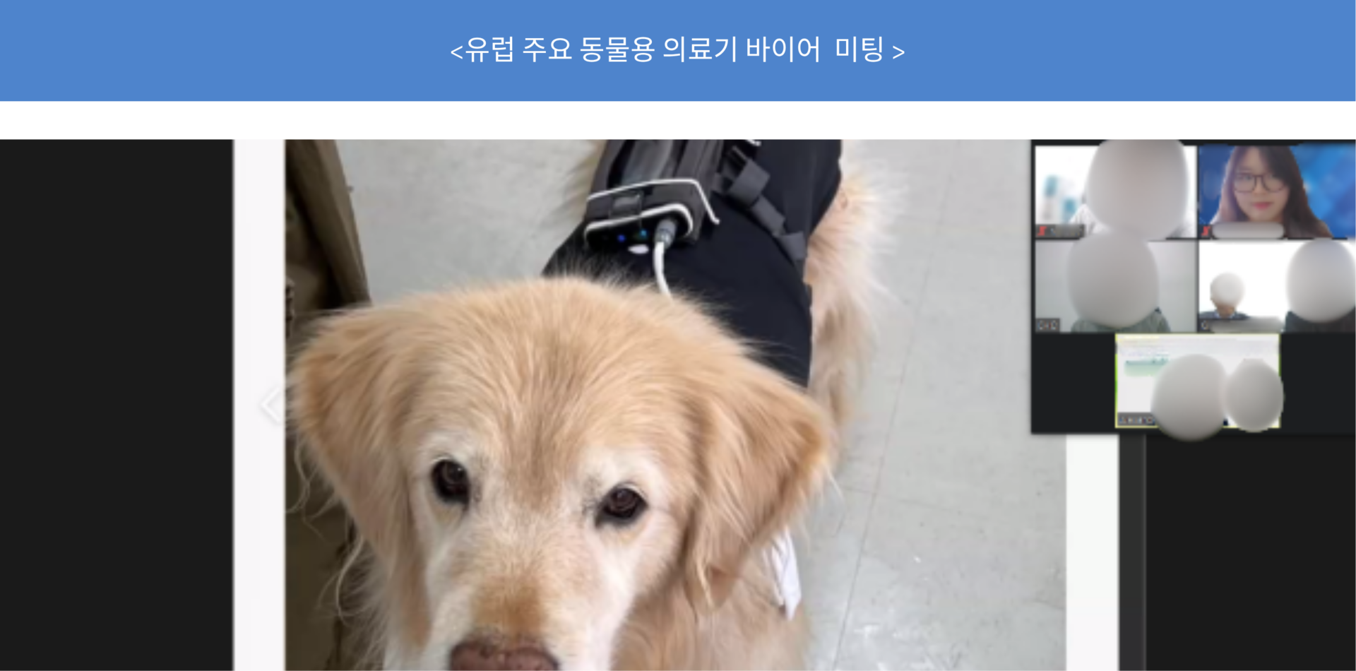 바이어 미팅 사진